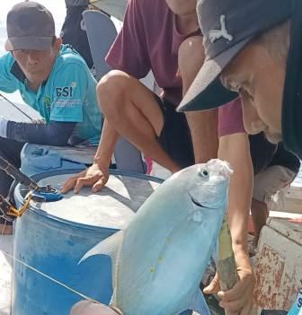 Pemilik Ikan Ikan Giant trevally Anwar Arifin /Taufik Hantarkan  Kemenag Sinjai Posisi ke 3 Dalam Lomba Mancing Mania HAB Ke 77 Tahun 2023 Tingkat Provinsi Sulawesi Selatan